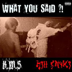 What You Said?! (feat. H311 Sn4k3)