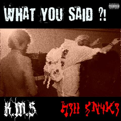 What You Said?! (feat. H311 Sn4k3)