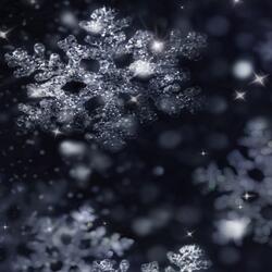 Christmas Without You