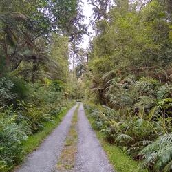 Freedom for the Free