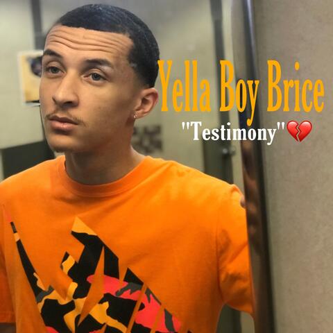 Testimony