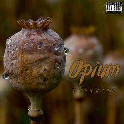 Opium