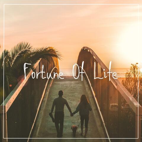 Fortune Of Life