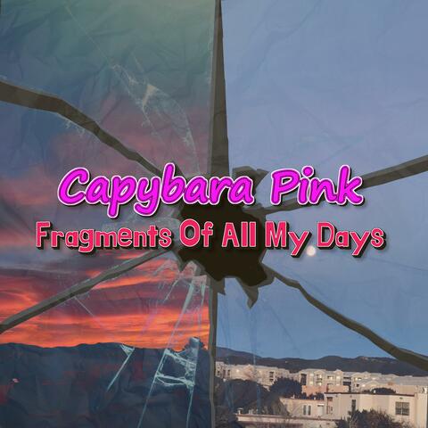 Fragments Of All My Days
