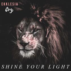 Shine Your Light (feat. Ariel Goud)