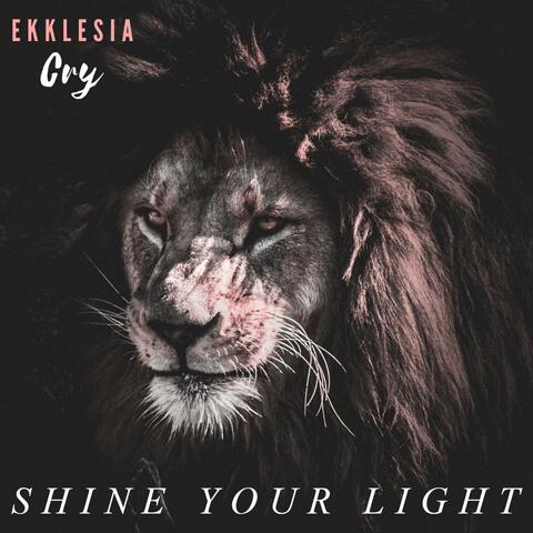 Shine Your Light (feat. Ariel Goud)