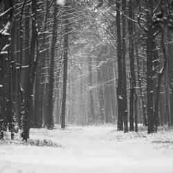 Cold Outside