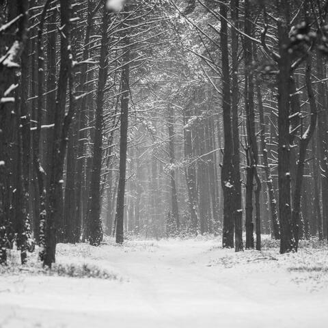 Cold Outside