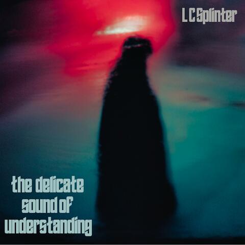 The Delicate Sound of Understanding