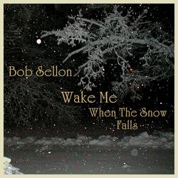 Wake Me When The Snow Falls