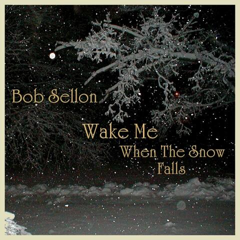 Wake Me When The Snow Falls