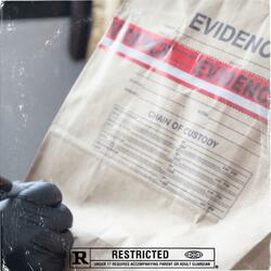 The Evidence