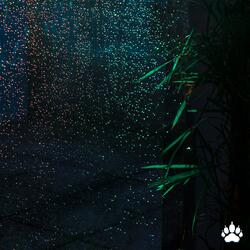 That one time I went outside