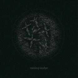 teardrop analyst