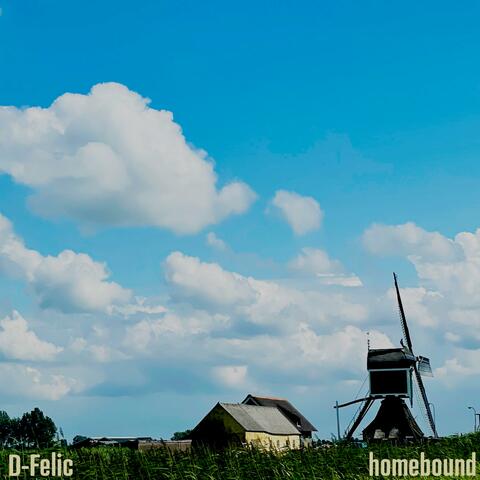 homebound
