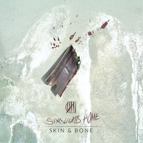 Skin & Bone