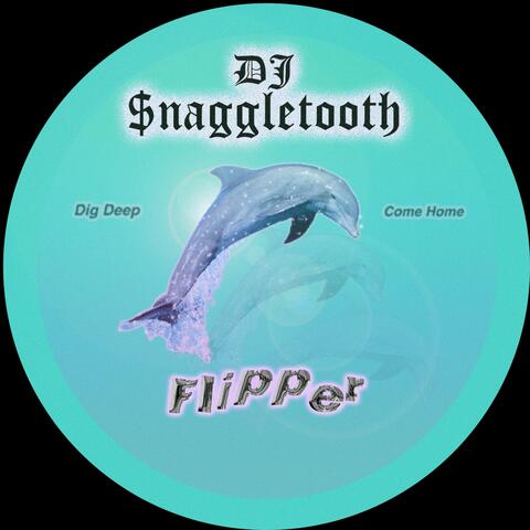 Flipper