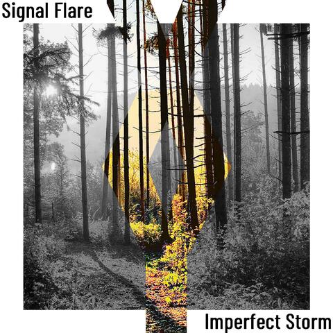 Imperfect Storm