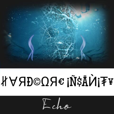 Echo