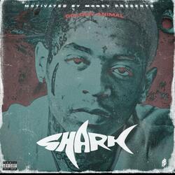 SHARK