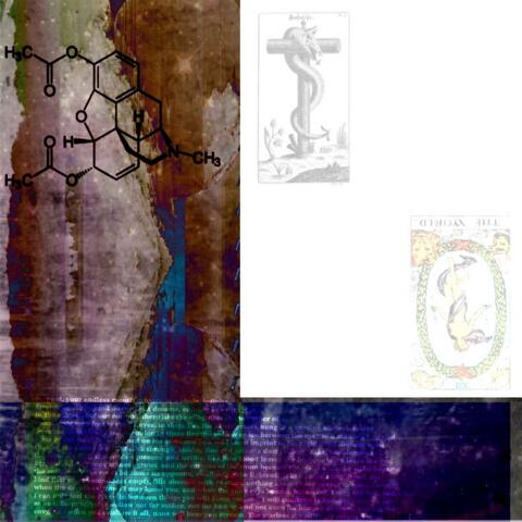 bloom from brain