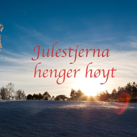 Julestjerna Henger høyt