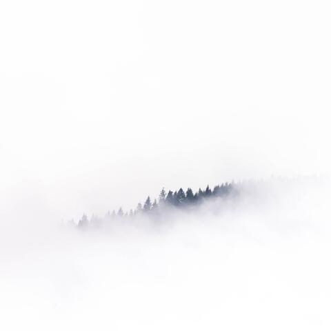 misty