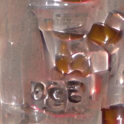 off one cypher (feat. xona, KillKenzie, hxchi, souls2003, certo, kire & expilled)