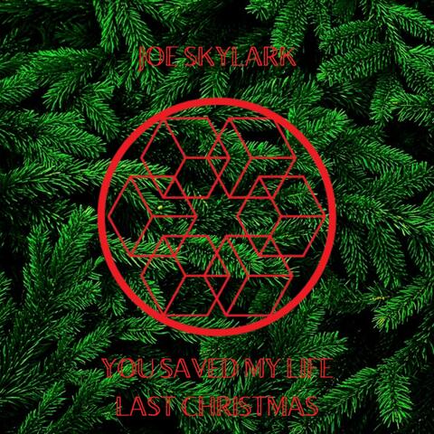 You Saved My Life Last Christmas