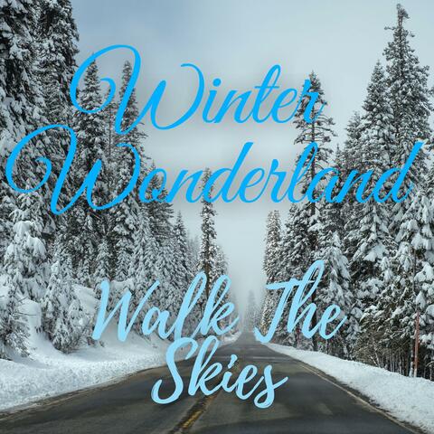 Winter Wonderland