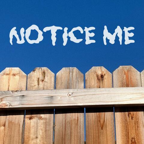 Notice Me