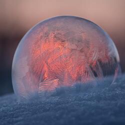 David Bitton-Summit Conference