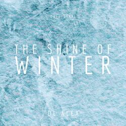 The Shine Of Winter