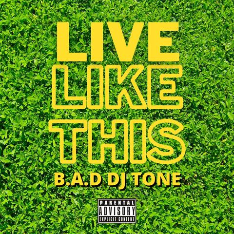 Live Like This (feat. ValidTone)