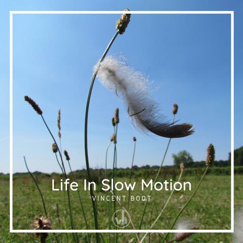 Life In Slow Motion