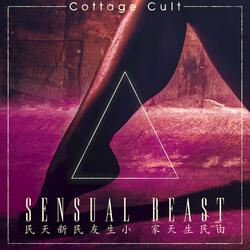 SENSUAL BEAST: You Say, You Say (feat. Dimi Kaye)