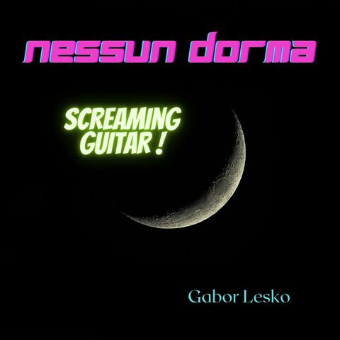 Nessun Dorma (Screaming Guitar)