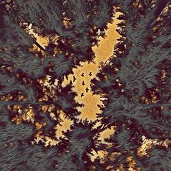 Too deep in the woods