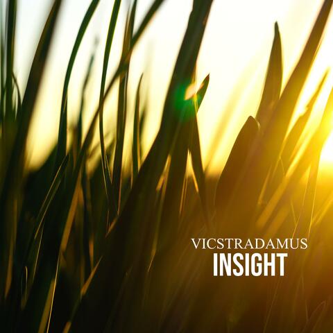 Insight
