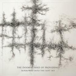 The Blood Dimmed Tide Is Loosed
