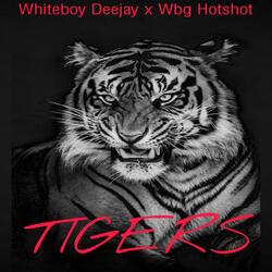 Tigers (feat. Wbg Hotshot)