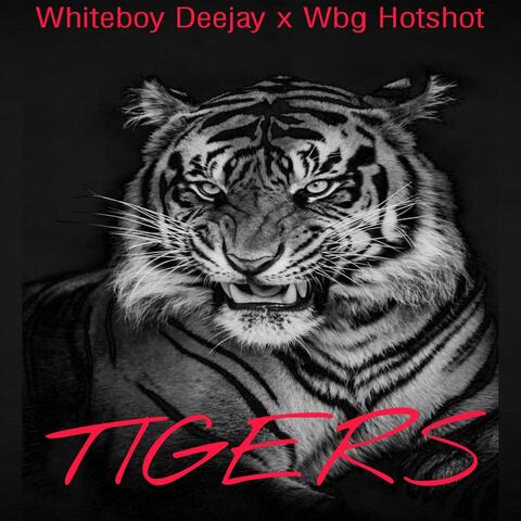 Tigers (feat. Wbg Hotshot)