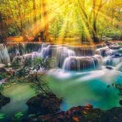 Piano Relaxing Music (Bird Sounds) [Waterfall Sounds]