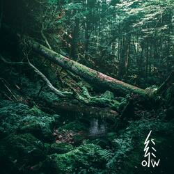fifty forest fairies