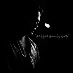 And I Will Never Say Goodbye