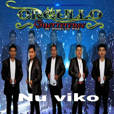 Nu viko