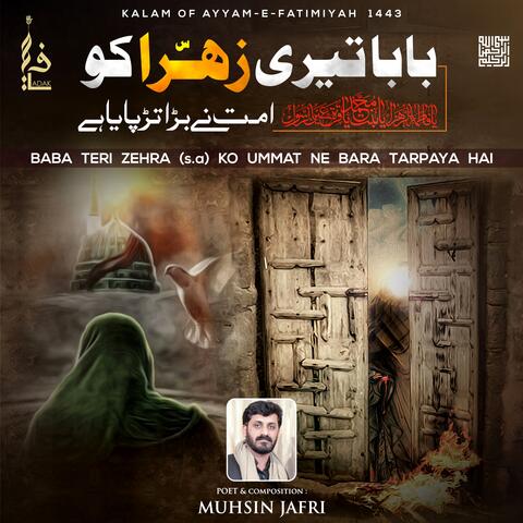 Baba Teri Zahra ko Ummat ne Bara Tarpaya Hai