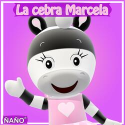 La cebra Marcela