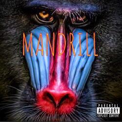 La Loi du Papier (feat. Black Messa)