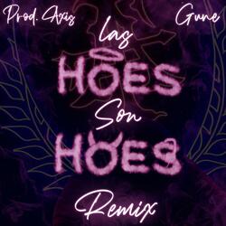 GUNE (LAS HOES SON HOES GUARACHA ALETEO MIX)